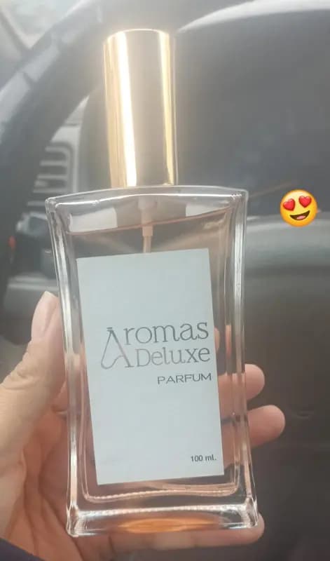 Foto de la reseña de Lisseth S.