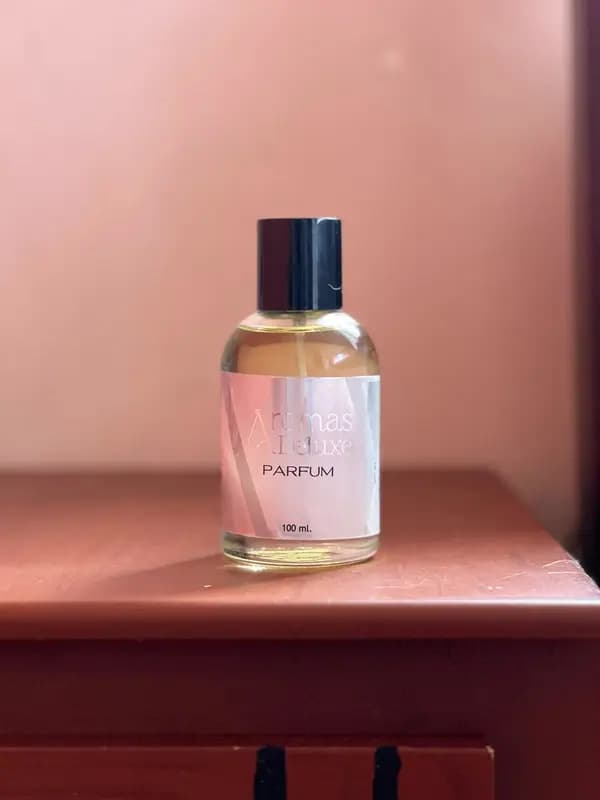 Foto de la reseña de David L.